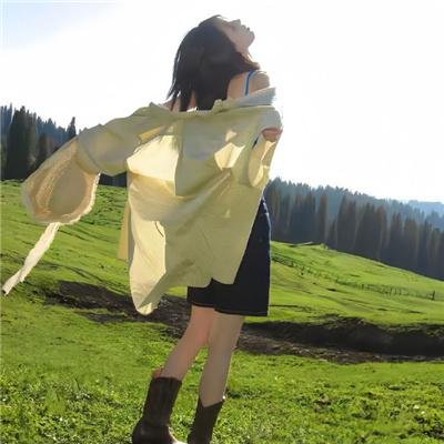 盲女与狐狸海报